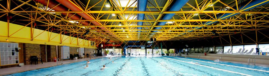 Steinbach Schwimmbadvlies 16 M Kaufen Bei Obi